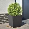 vidaXL Garden Planter Black Cold-rolled Steel 15.7x15.7 in Durable