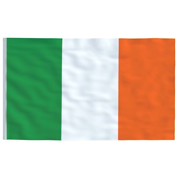 vidaXL Ireland Flag Flag: Multicolor (Green, White, Orange); Pole: Silver