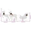 vidaXL Reindeer And Sleigh Christmas Decoration Set of 2 White