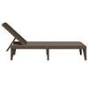 vidaXL Sun Lounger Brown Polypropylene Standard UV-resistant materials