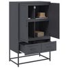 vidaXL Highboard Anthracite Cold-rolled steel Tall Highboard