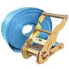 vidaXL Ratchet Tie Down Straps 10 pcs 2 Tonnes 19.7 'x1.50 " Blue