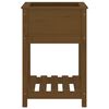 vidaXL Planter Honey brown Solid pine wood Medium Wooden Planters