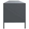 vidaXL TV Cabinet Anthracite Cold-rolled Steel Large Adjustable Feet
