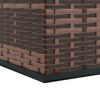 vidaXL Cushion Box Brown PE Rattan, Powder-Coated Steel