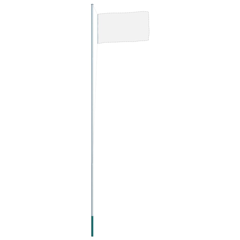 vidaXL Flagpole Silver Aluminum 20.3 ft Flagpole Cylindrical Modern