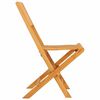 vidaXL Folding Garden Chair Set of 2 Teak Solid Teak Wood Regular