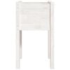 vidaXL Garden Planter Set of 2 White Solid pinewood Medium