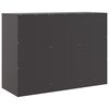 vidaXL Sideboard Black Cold-rolled steel Medium Sideboard Rectangular