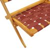 vidaXL Folding Garden Chair Set of 2 Red and Brown