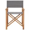 vidaXL Director's Chair Set of 2 Gray Solid Teak Wood Medium Foldable
