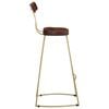 vidaXL Bar Stool Set of 2 Brown and Gold Solid Mango Wood, Iron Standard