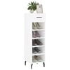 vidaXL Shoe Cabinet White Engineered Wood, Iron, Aluminum Compact