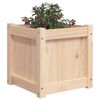 vidaXL Garden Planter Set of 2 Natural Solid pine wood 15.7x15.7x15.7 in