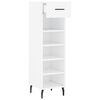 vidaXL Shoe Cabinet White Engineered Wood, Iron, Aluminum Compact