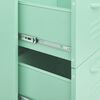 vidaXL Drawer Cabinet Mint Steel Medium Levelers Drawer Cabinet