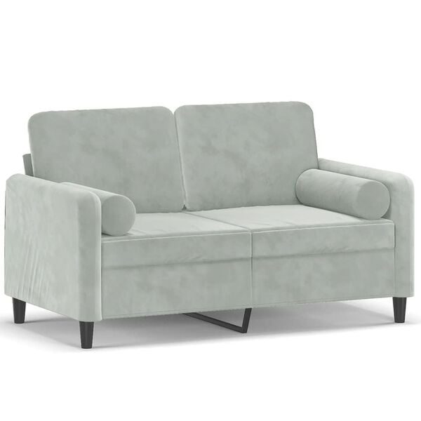 vidaXL 2-seater Sofa Light Gray Velvet, Metal, Textilene, Foam 2-Seater