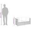 vidaXL Garden Sofa Set of 2 Beige PE rattan Medium Modular