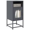 vidaXL Nightstand Anthracite Cold-rolled steel Medium Nightstand