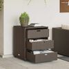 vidaXL Garden Storage Cabinet Brown PE rattan Medium Garden Storage
