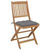 vidaXL Garden Chair Set of 2 Brown Solid acacia wood Standard Foldable