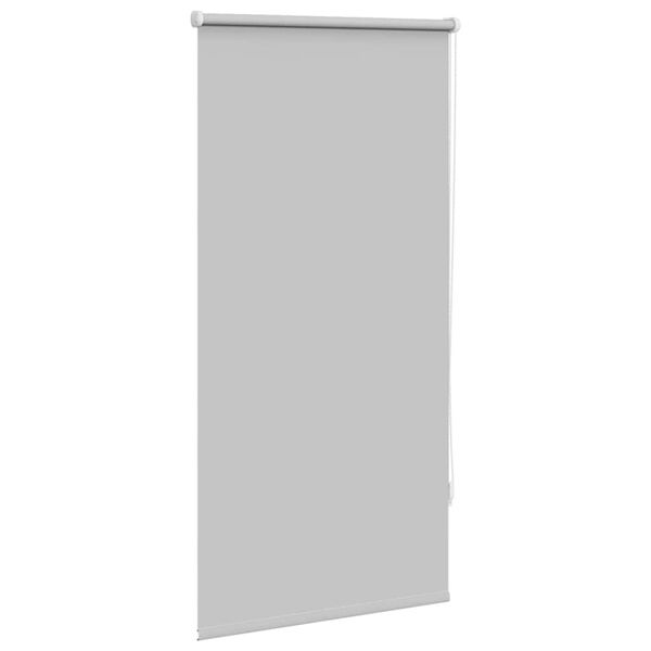 vidaXL Blind Grey Polyester, Aluminum, PVC 23.6 x 47.2