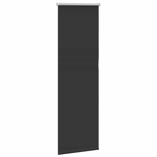 vidaXL Roller Blind Black 100% Polyester 21.7 x 68.9 in Roller Blind