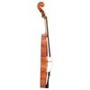 vidaXL Violin Full Set with Bow and Chin Rest Dark Wood 4/4