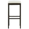 vidaXL Bar Stool Set of 2 Brown PE rattan, steel Standard Footrest