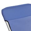 vidaXL Beach Chair Blue Textilene and Powder-coated Steel Medium