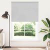 vidaXL Roller Blind Light Grey 100% Polyester 57.1 x 90.6 in