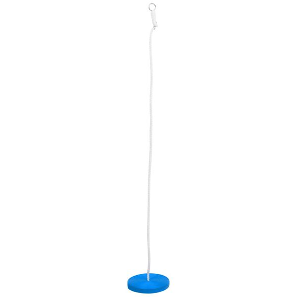 vidaXL Plate Swing Blue PE Large Height-Adjustable Plate Swing Round