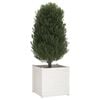 vidaXL Garden Planter White Solid pinewood 27.6 in Durable