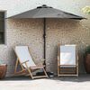 vidaXL Garden Parasol Anthracite 115.75 x 59.06 x 88.19 in