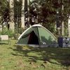 vidaXL Camping Tent Dome 2-Person Green Waterproof