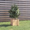 vidaXL Planter Set of 2 Natural Wood Solid Pine wood 12.2 in Planters