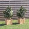 vidaXL Planter Set of 2 Natural Wood Solid Pine wood 12.2 in Planters