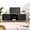 vidaXL TV Cabinet with Shelf with Storage with Door Black Medium Engineered wood, Iron