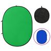 vidaXL 2 in 1 Oval Studio Background Screen Green and Blue 78.7x59.1"