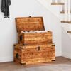 vidaXL Storage Box Rough Mango Wood Multiple Sizes Included Sturdy