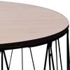 vidaXL Coffee Table Set of 2 Black Metal, plywood Small Detachable