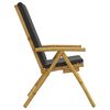 vidaXL Garden Reclining Chair Set of 2 Bamboo, Dark Grey Bamboo, Polyester