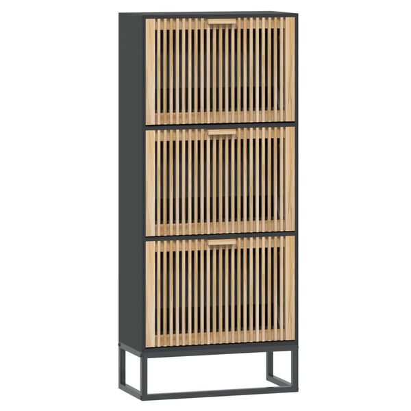 vidaXL Shoe Cabinet Black Engineered wood Medium Shoe Cabinet