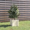 vidaXL Planter White Solid pinewood 12x12x12 in Planters Planter