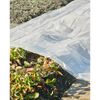 Nature Plant Cover Transparent Polyethylene (LDPE) 13.1 x 19.7 ft