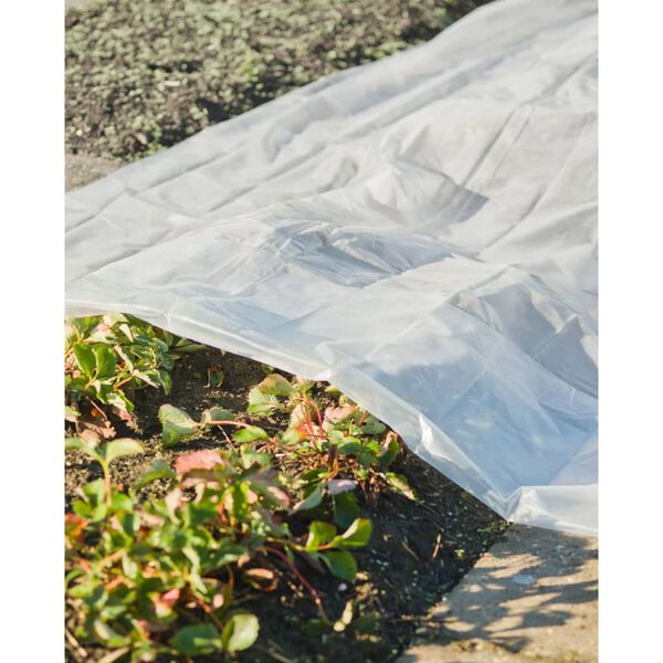 Nature Plant Cover Transparent Polyethylene (LDPE) 13.1 x 19.7 ft