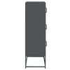 vidaXL Highboard Anthracite Cold-rolled steel 26.8 x 15.4 x 48.4 in