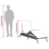 vidaXL Sun Lounger Light Grey PE rattan, powder-coated steel Standard