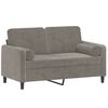 vidaXL 2-seater Sofa Light grey Velvet (100% polyester), metal, plywood