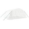 vidaXL Greenhouse White Polyethylene Large UV-resistant materials
